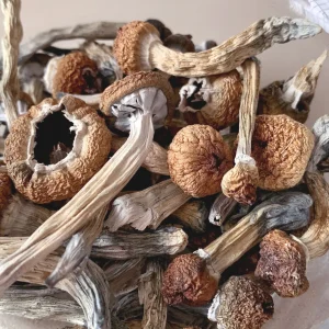 Magic Mushroom Online UK